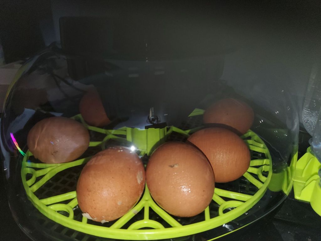 20260304_1344571170480348086874684